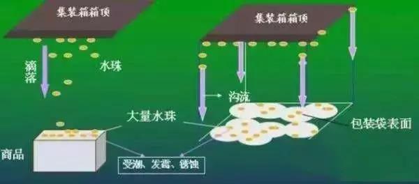 集装箱里进水，谁的错？如何预防应对？